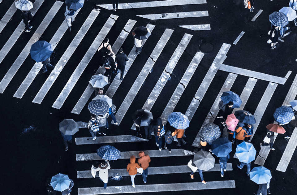 Arial view of pedestrians on crosswalk with umbrellas